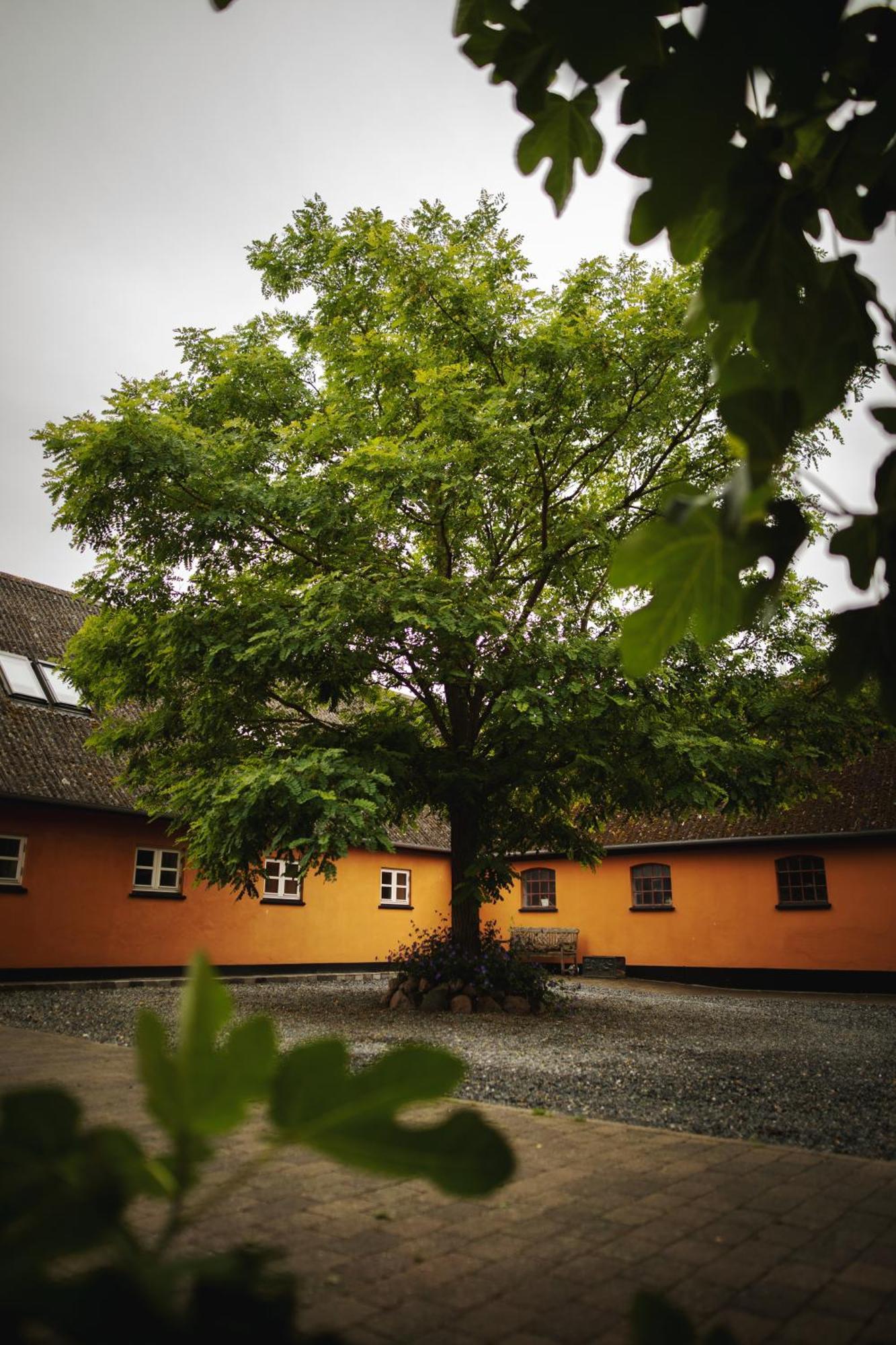 Akaciegaarden Bed & Breakfast Harlev  Eksteriør billede